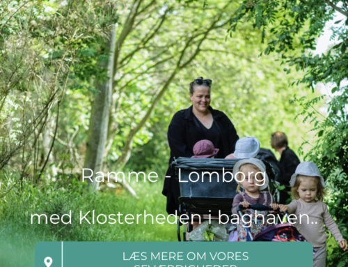 Fælles hjemmeside for Ramme og Lomborg